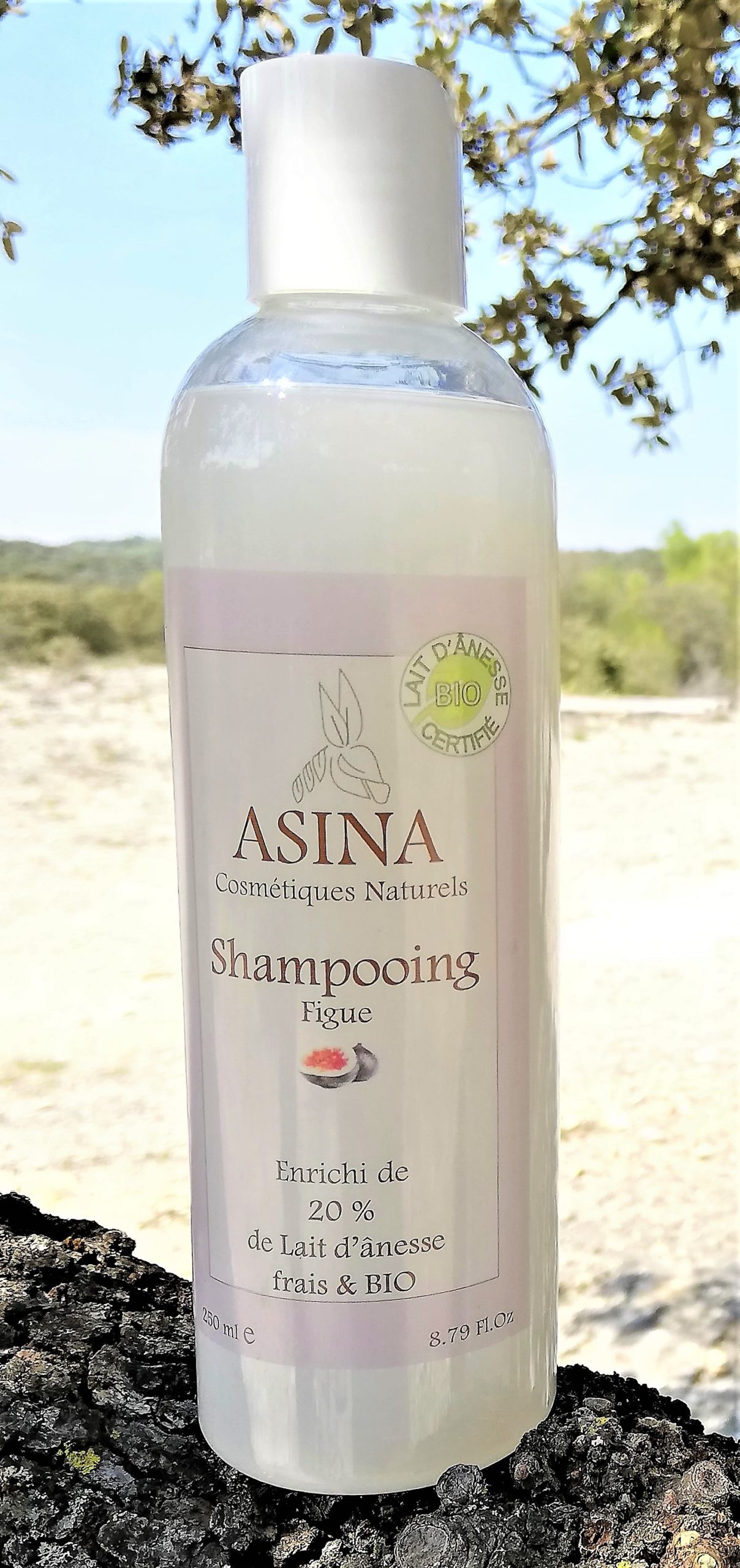 Shampoing Figue 250ml